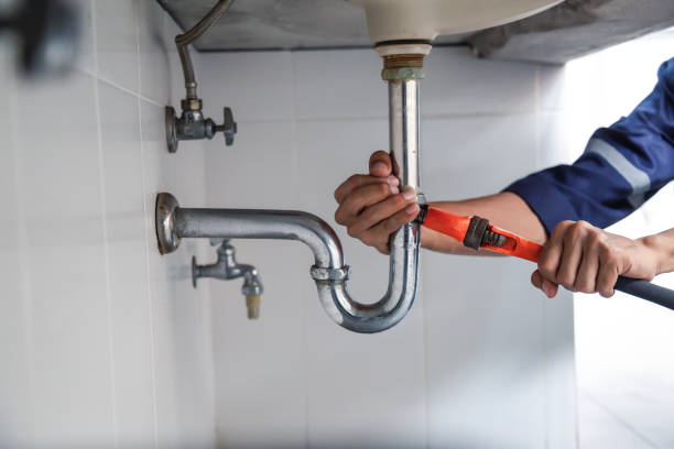 Best Residential Plumbing Services  in Okemos, MI